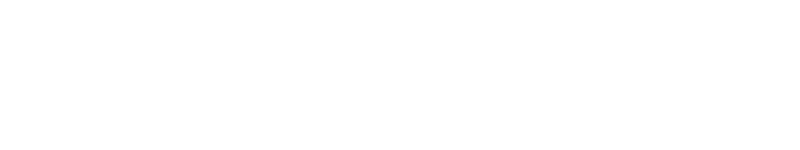 Hivemetric Logo